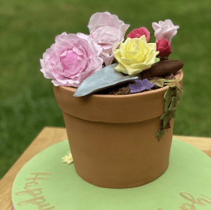 Flower Pot sculpted Birthday Cake - made with love by Julie's Cake Company